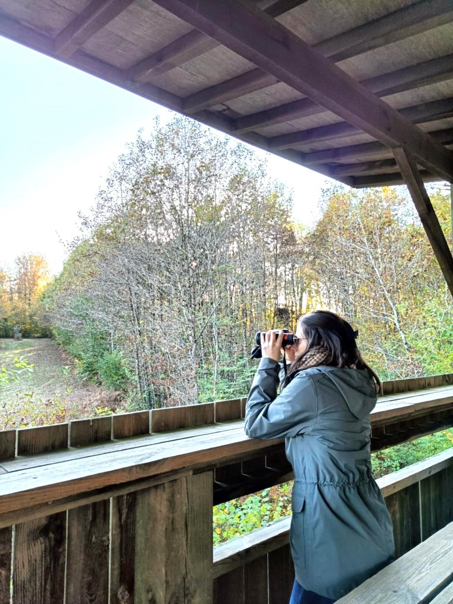 Passion pour la nature et les oiseaux