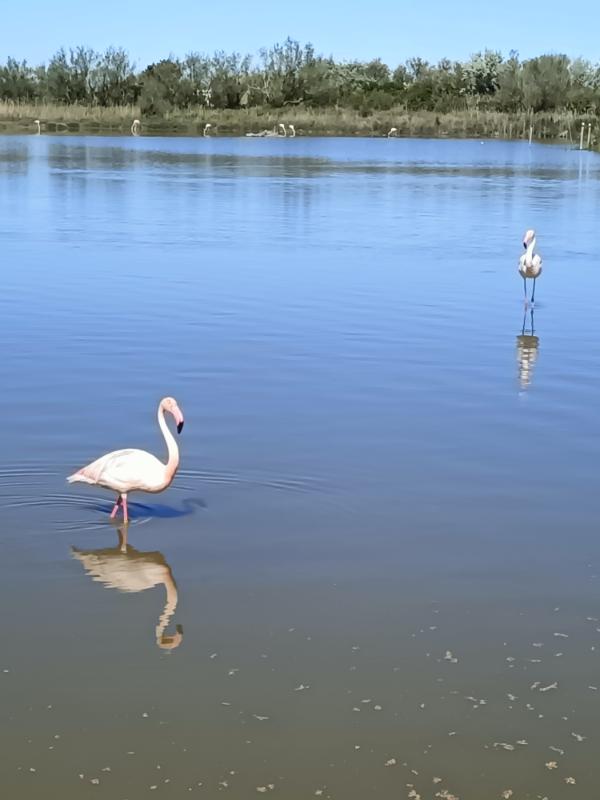 Bouches-du-Rhône - Photo 4