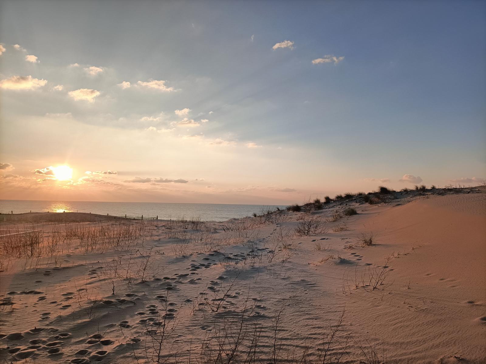Paysage de la Gironde