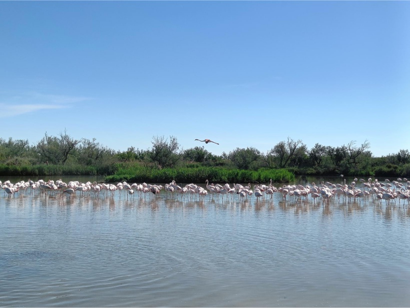 Bouches-du-Rhône, France